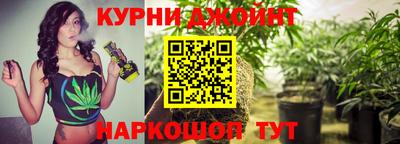 Альфа ПВП Краснознаменск