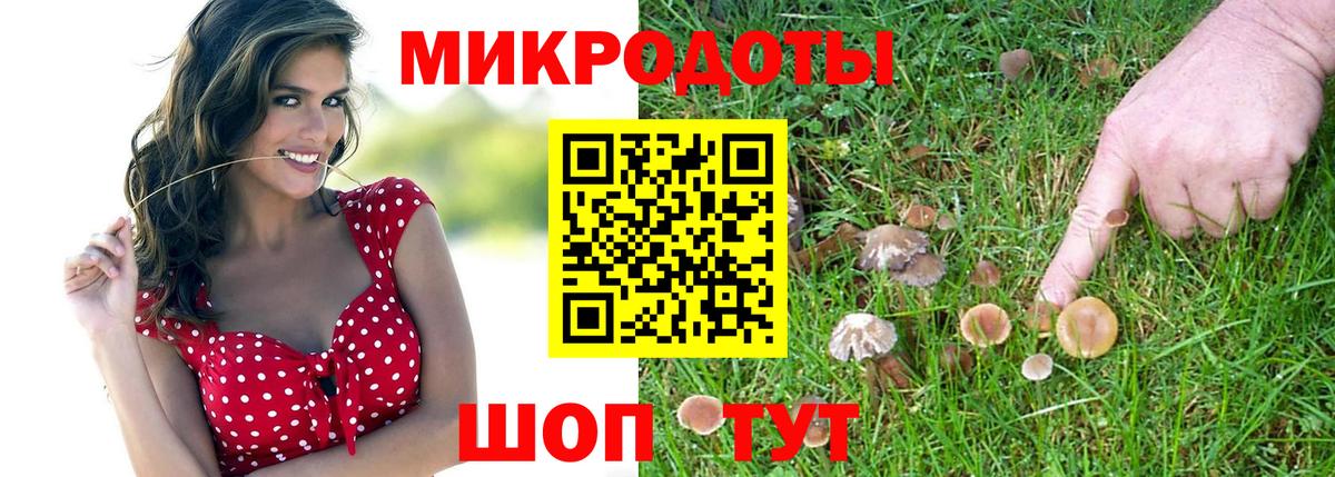 Псилоцибиновые грибы мицелий  Вход с VPN  Кохма 