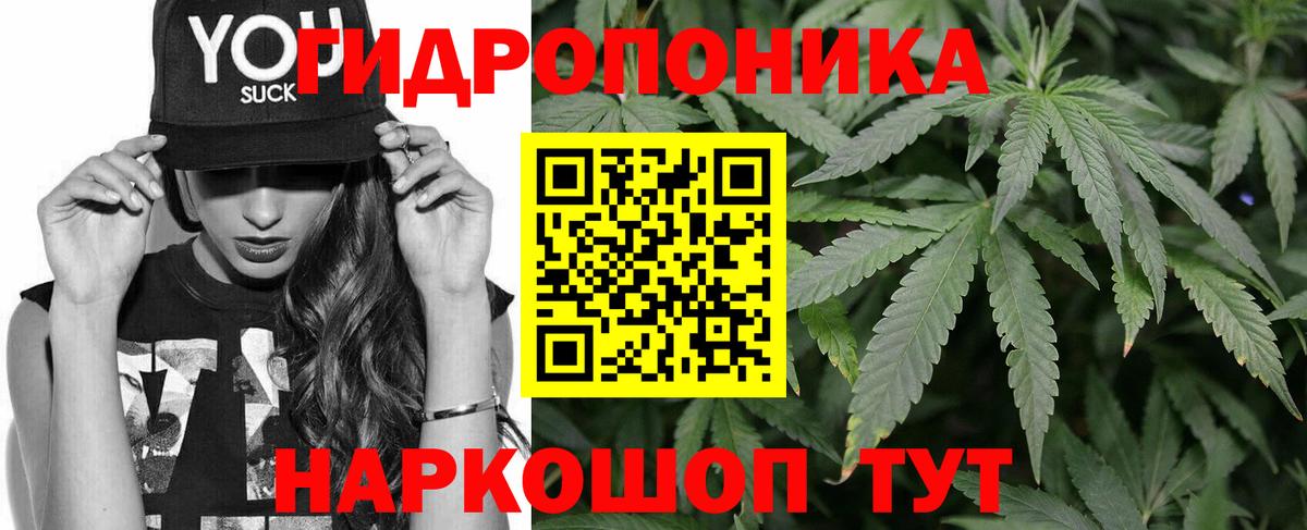 Кохма  Бошки марихуана SATIVA & INDICA  Вход с VPN  Шишки марихуана SATIVA & INDICA  Бошки Шишки ГИДРОПОН  Конопля Ganja 